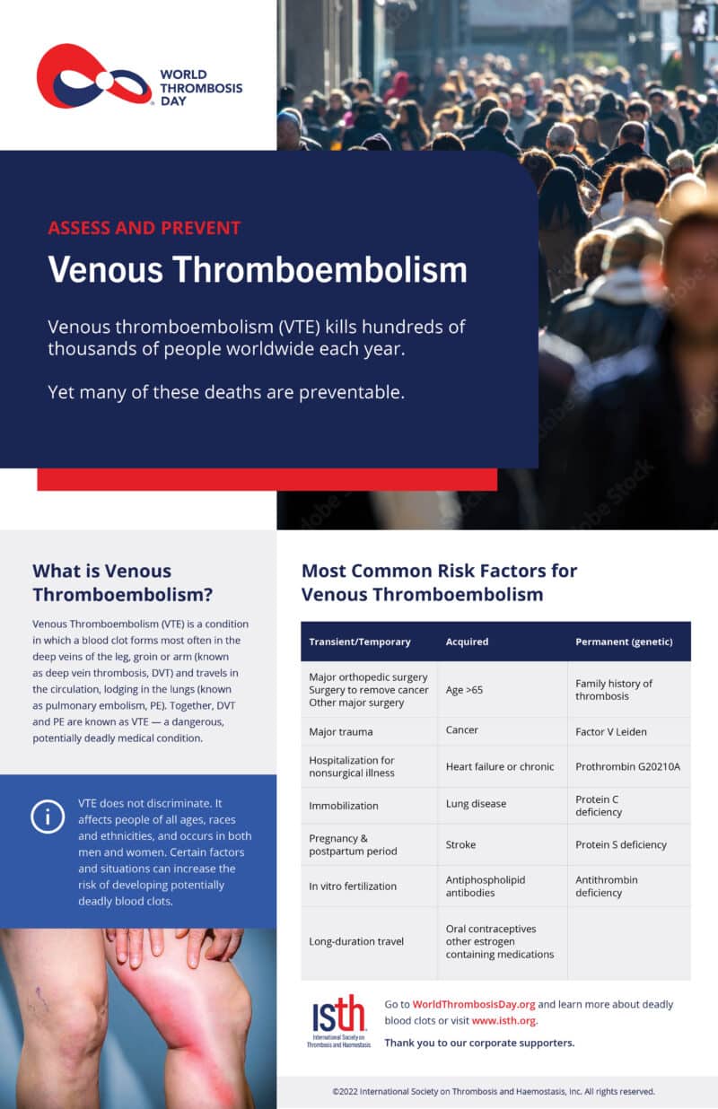 Poster: VTE Risk Factors - English - World Thrombosis Day