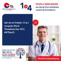 Start creating with the WTD Design Hub 