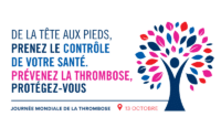 Head to toe logo - French