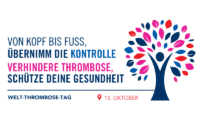 Head to toe logo - German